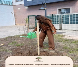 Bir Dikili Ağacım Var...