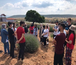 Öğrencilerimiz Isparta Keçiborlu İlçesi Kuyucak Köyü Lavanta Bahçelerini Gezdi...