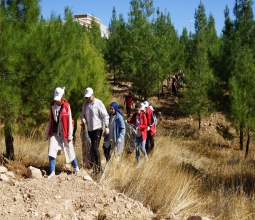 Üniversite Öğrencileri Tarafından Ormanlık Alanlarda Temizlik Yapıldı...