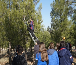 Ortaokul Öğrencilerinden El Emeği Göz Nuru Kuş Yuvaları ...