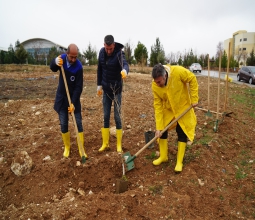 Kampüste 174 Zivzik Narı Fidanı Toprakla Buluştu...