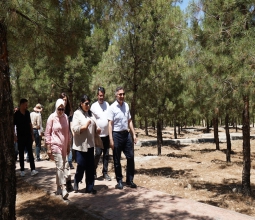 Nasıroğlu Hatıra Ormanına Yürüyüş Yolu, Kamelya ve Piknik Masaları...