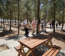 Nasıroğlu Hatıra Ormanına Yürüyüş Yolu, Kamelya ve Piknik Masaları...