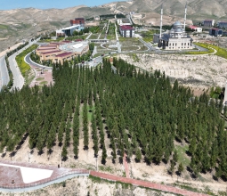 Necat Nasıroğlu Hatıra Ormanında Açılış Programı Gerçekleştirilecek...