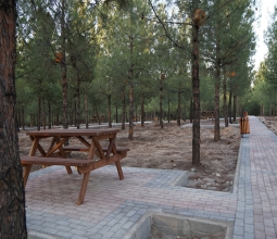 Necat Nasıroğlu Hatıra Ormanı Açılış Töreni Gerçekleştirildi...