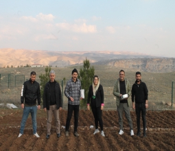 Batı Raman Kampüsü Sera Alanında Aspir Bitkisi Dikimi Gerçekleştirildi...