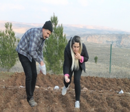 Batı Raman Kampüsü Sera Alanında Aspir Bitkisi Dikimi Gerçekleştirildi...