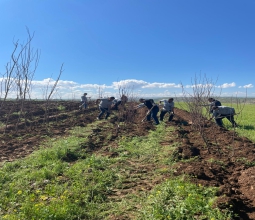 Üniversitemizin Geleceğine Yaklaşık On Bin Meyve Fidanı ...