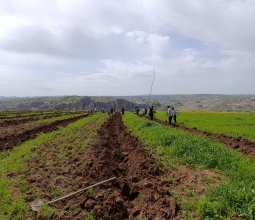 Üniversitemizin Geleceğine Yaklaşık On Bin Meyve Fidanı ...