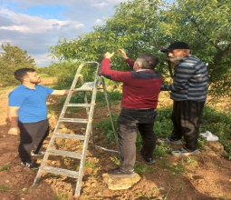 Üniversitemizin Geleceğine Yaklaşık On Bin Meyve Fidanı ...