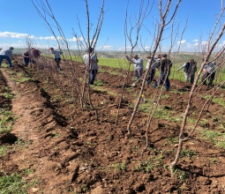 Üniversitemizin Geleceğine Yaklaşık On Bin Meyve Fidanı ...