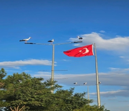 Batı Raman Kampüsü Leyleklerin Göç Rotasında...