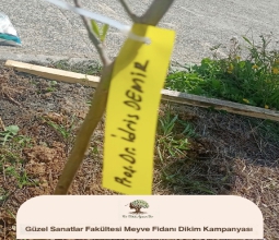 Bir Dikili Ağacım Var...