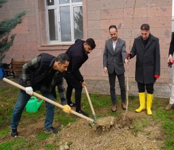 Ceviz Fidanları Toprakla Buluştu...